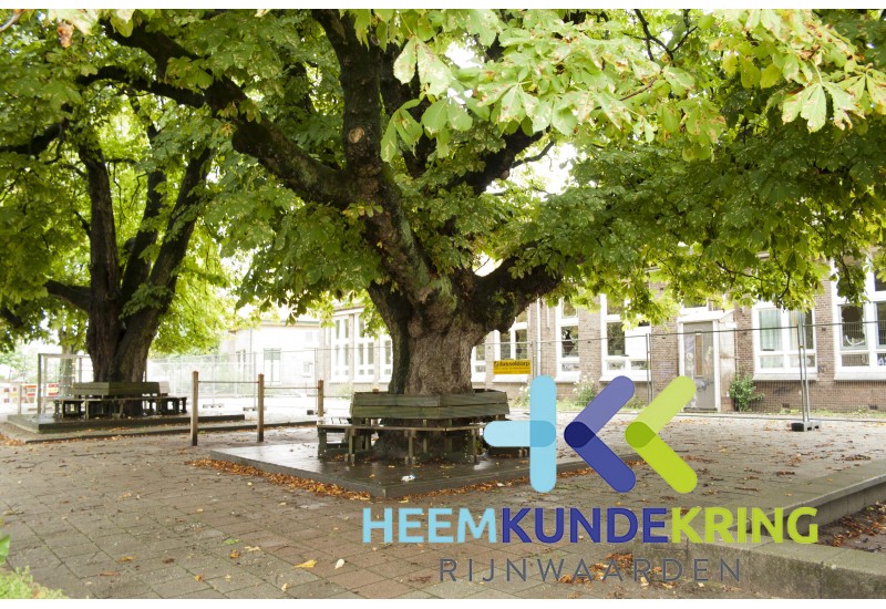 School Pannerden 26-08-2011 Coll. P.Snip (20)